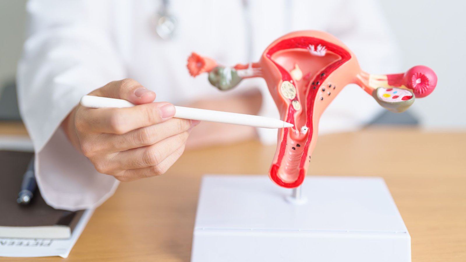 Reserva ovariana: o que ela diz (e o que não diz) sobre sua fertilidade